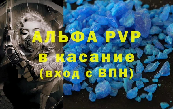 мяу мяу мука Белокуриха