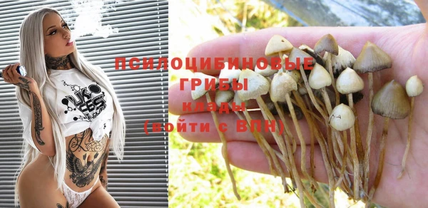 мяу мяу мука Белокуриха