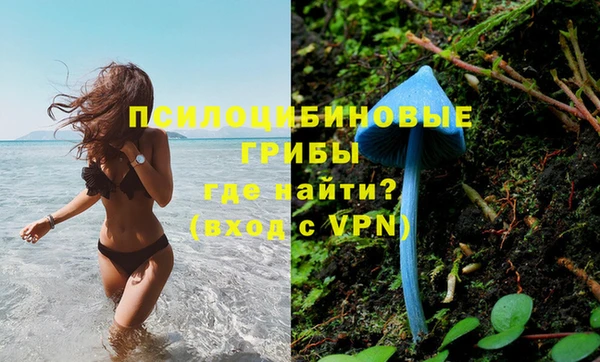 ешки Белоозёрский