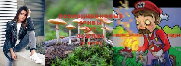 ешки Белоозёрский