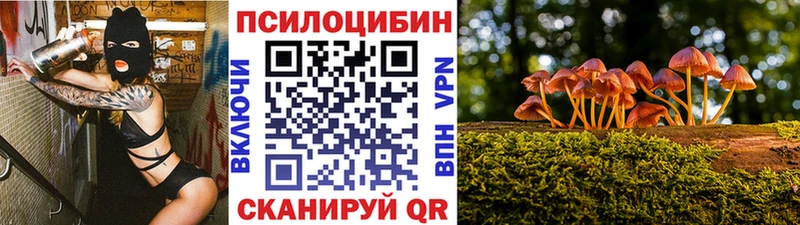 Псилоцибиновые грибы мицелий Красноярск